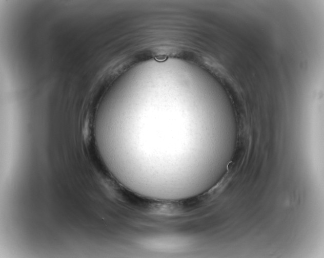 X0000086000074200704091045