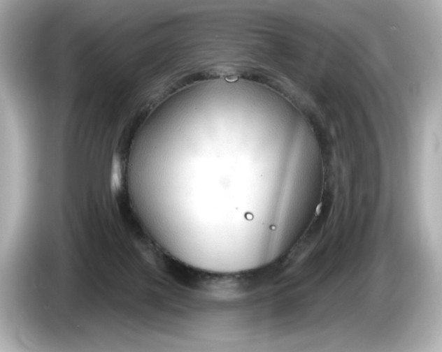 X0000086000075200704091045