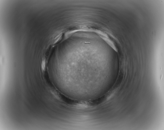 X0000086000076200704091045