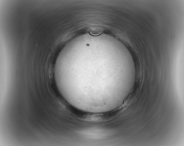 X0000086000078200704091045