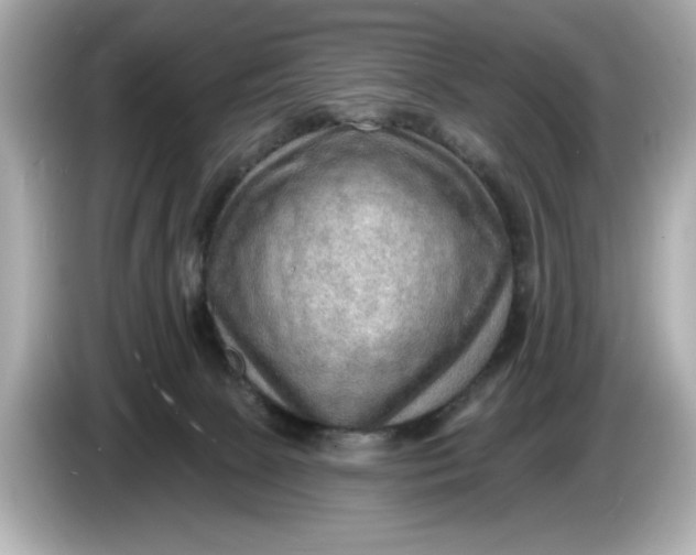 X0000086000081200704091045