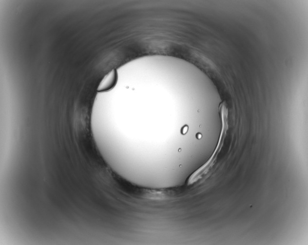 X0000086000083200704091045