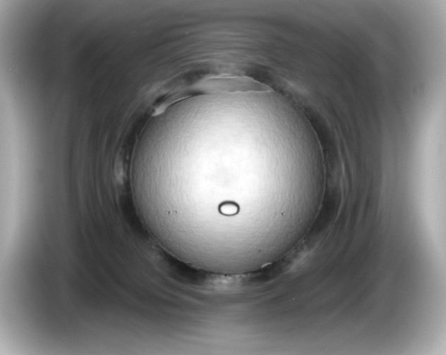 X0000086000084200704091045