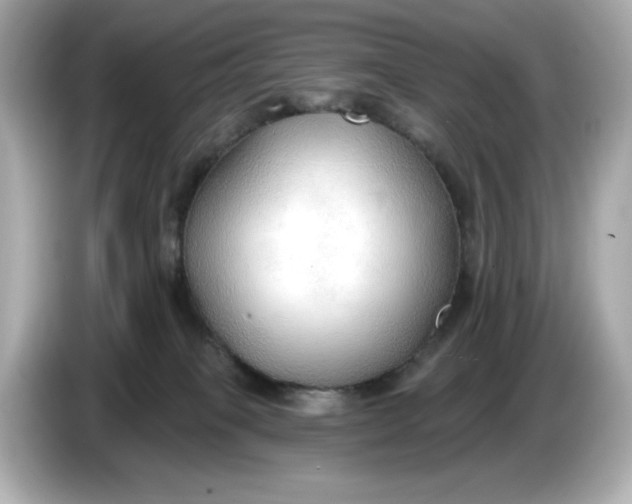 X0000086000085200704091045