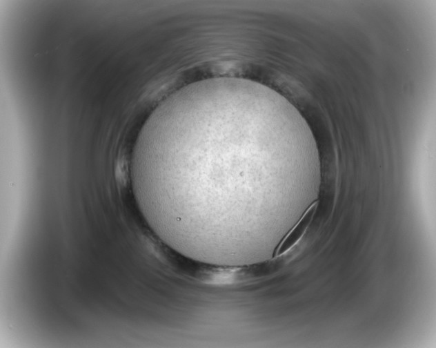 X0000086000090200704091045