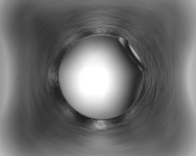 X0000086000091200704091045