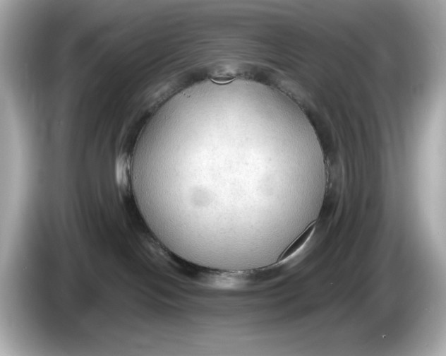 X0000086000094200704091045