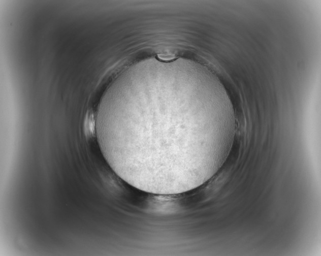 X0000086000095200704091045