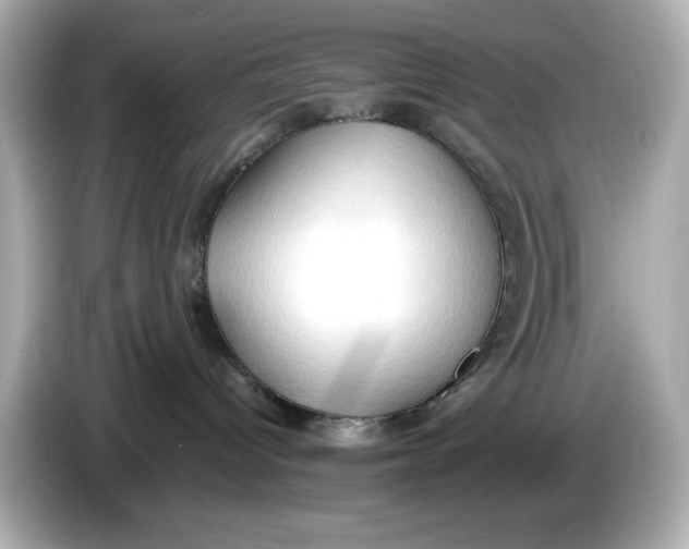 X0000086000096200704091045