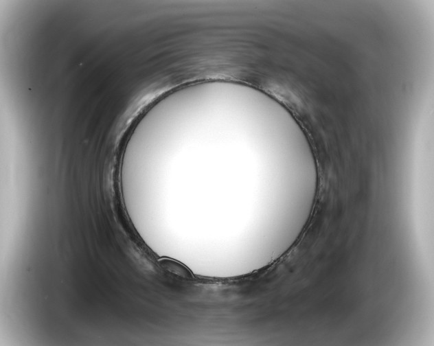 X0000086000098200704091045