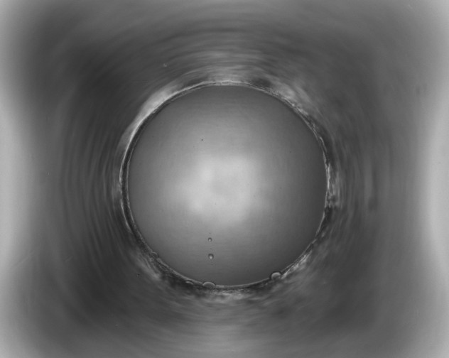 X0000086000099200704091045