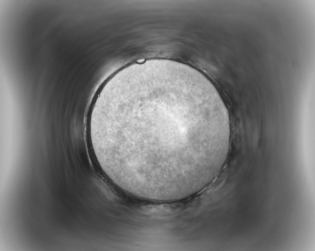 X0000086000100200704091045