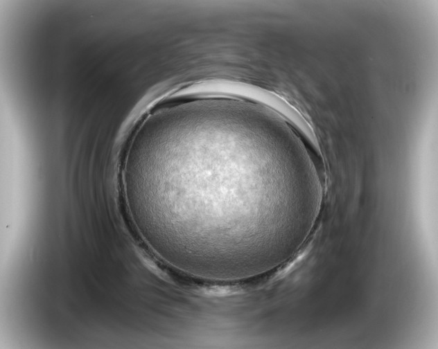 X0000086000101200704091045