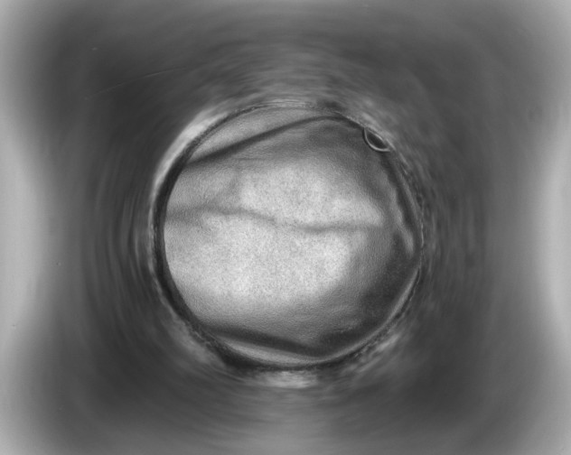 X0000086000102200704091045