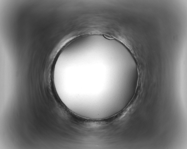 X0000086000103200704091045