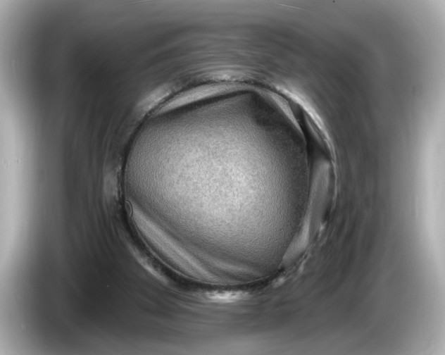 X0000086000105200704091045