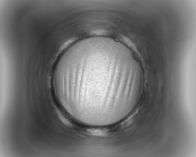 X0000086000106200704091045