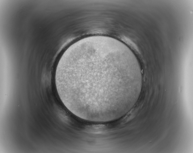 X0000086000108200704091044