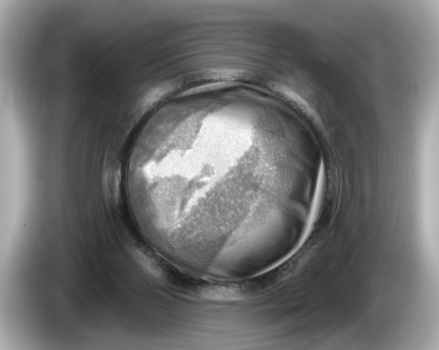 X0000086000110200704091044