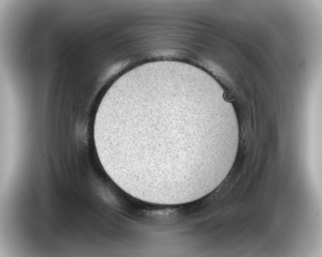 X0000086000112200704091044