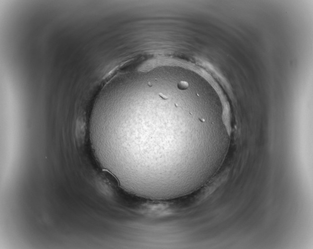 X0000086000113200704091044