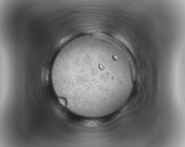 X0000086000115200704091044