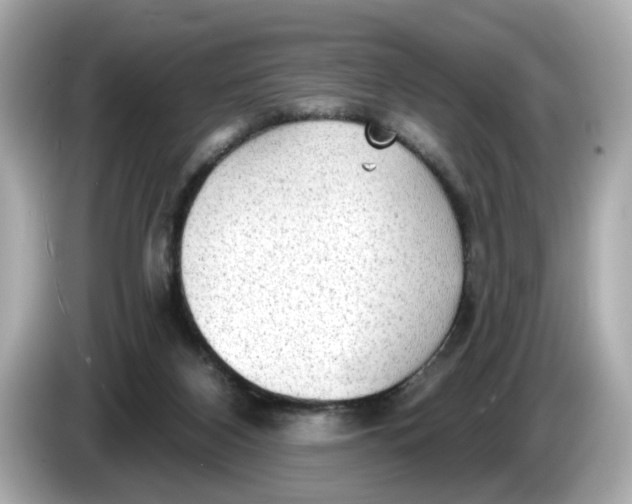 X0000086000116200704091044