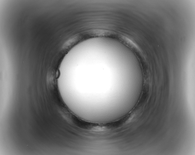 X0000086000119200704091044