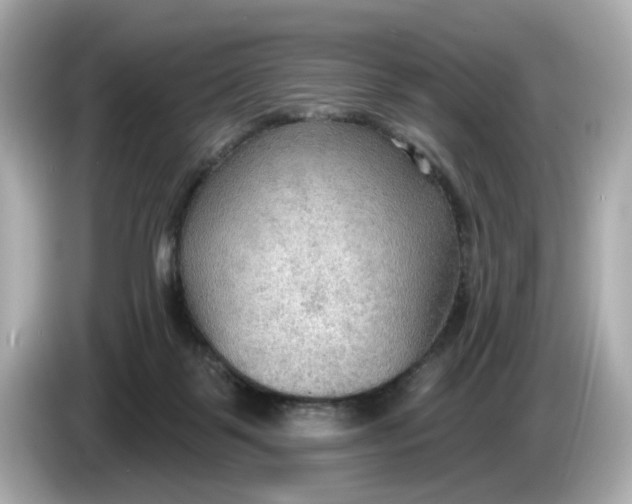 X0000086000123200704091044