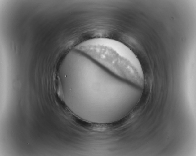 X0000086000127200704091044