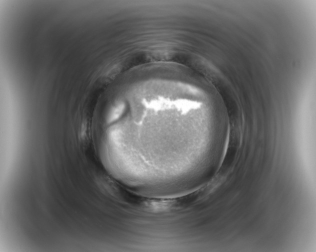 X0000086000134200704091044