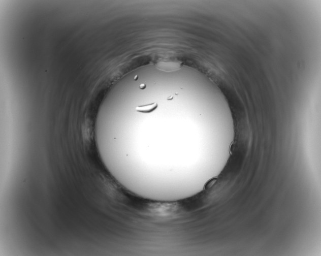 X0000086000135200704091044