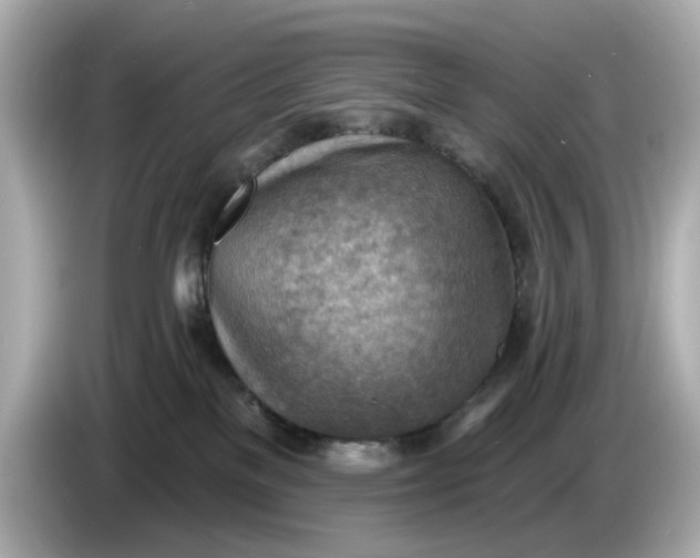 X0000086000137200704091044