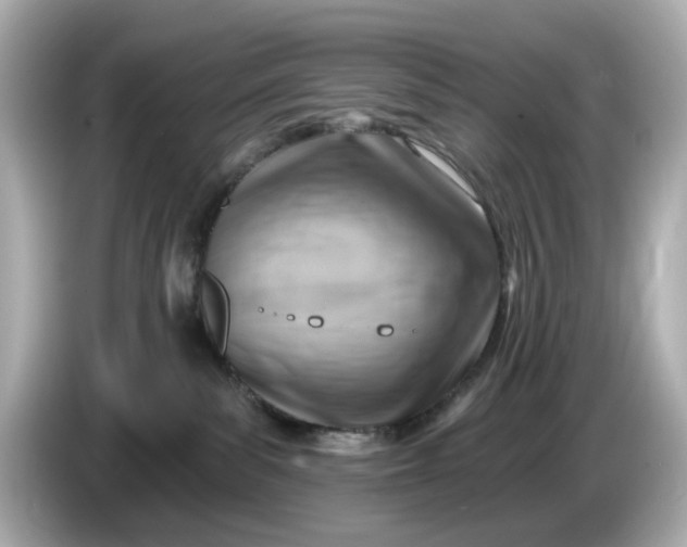 X0000086000139200704091044