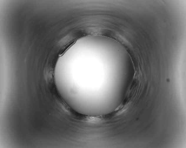 X0000086000141200704091044