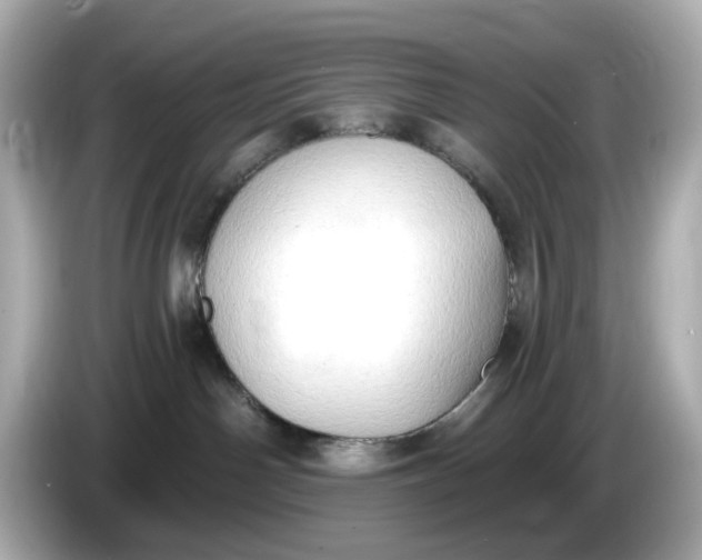 X0000086000142200704091044