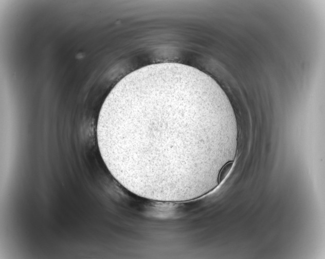 X0000086000144200704091044