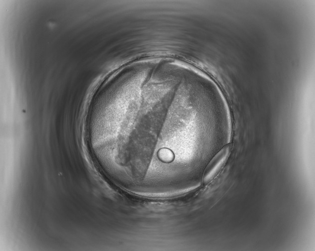 X0000086000145200704091044