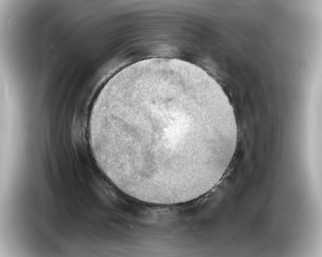 X0000086000146200704091044