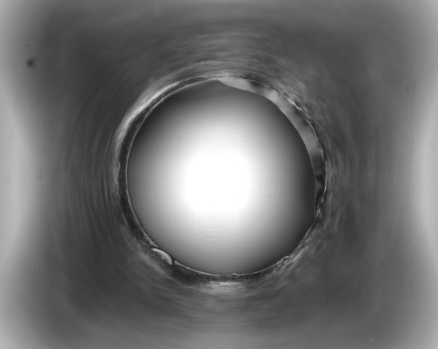 X0000086000150200704091044