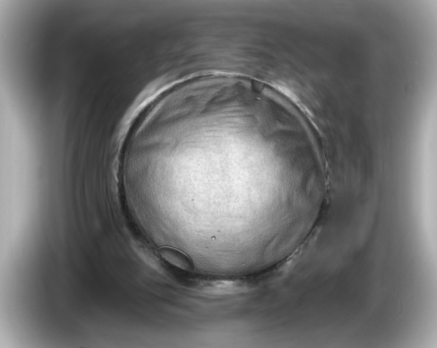 X0000086000151200704091044