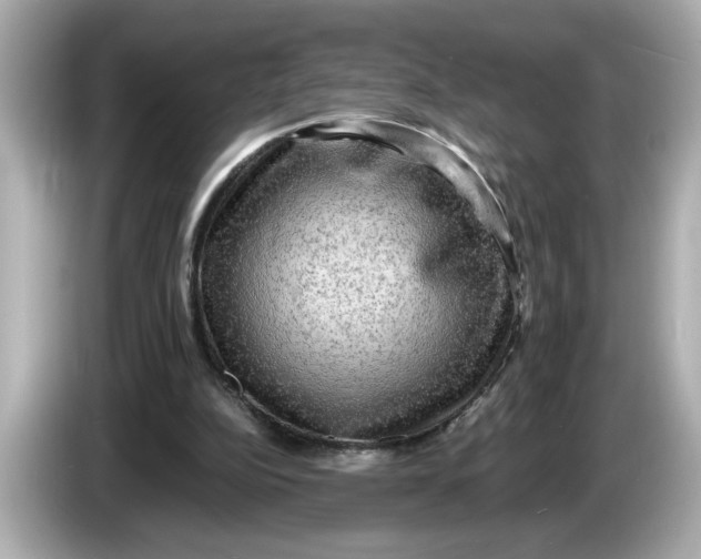 X0000086000152200704091044