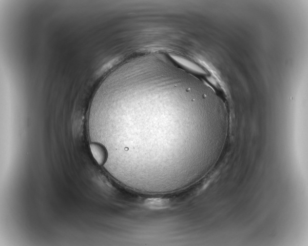 X0000086000153200704091044