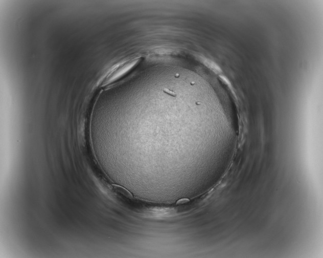 X0000086000154200704091044