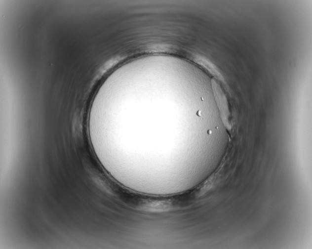 X0000086000155200704091044