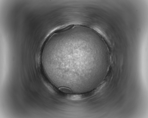 X0000086000156200704091044