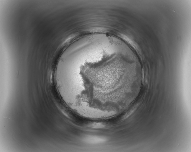 X0000086000157200704091044