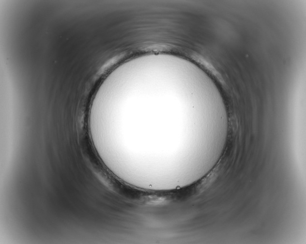 X0000086000159200704091044