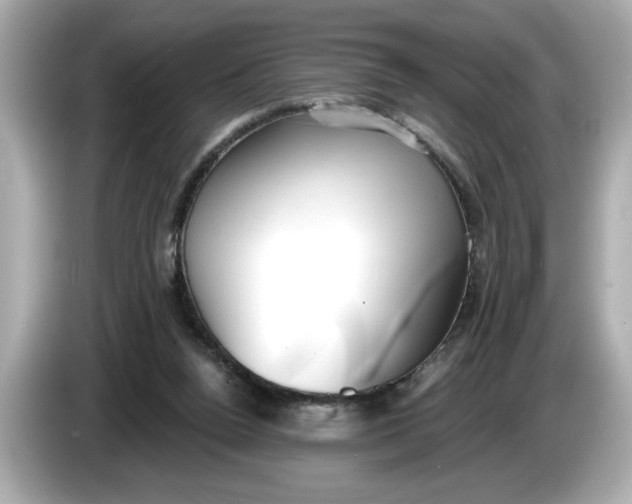 X0000086000160200704091044