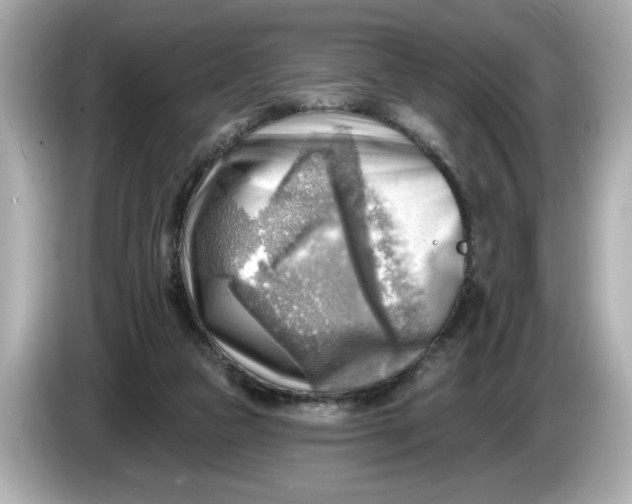 X0000086000161200704091044